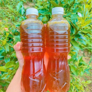 mua mật ong khoái rừng chuẩn nguyên chất