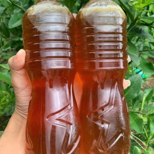 chai mật ong khoái rừng nguyên chất thiên nhiên 100%