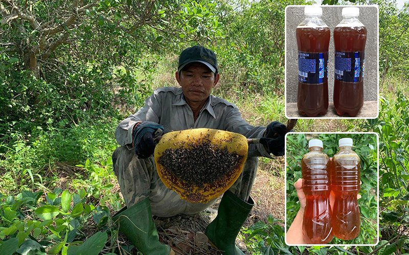 mua mật ong rừng thật nguyên chất ở đâu