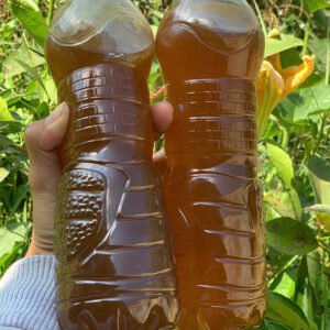 chai mật ong rừng ruồi chuẩn thiên nhiên