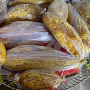 mật ong ruồi rừng nguyên tổ