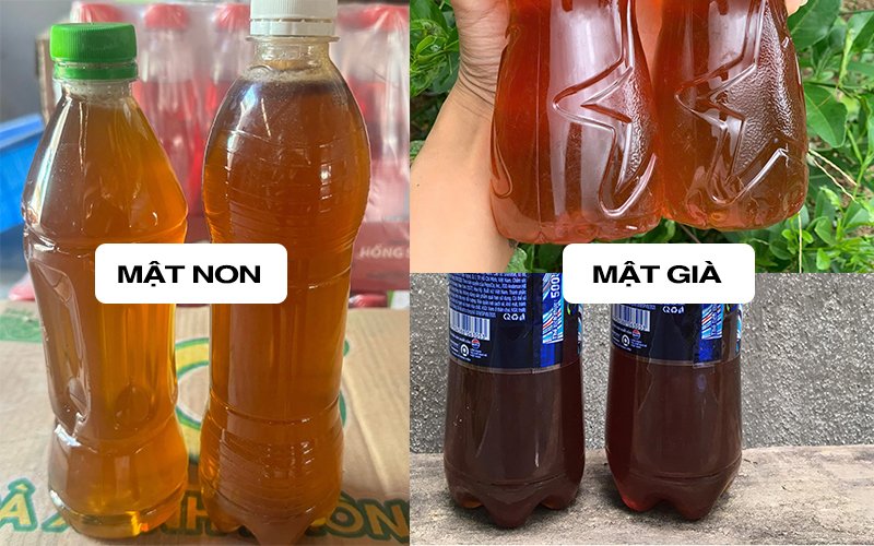 cách nhận biết mật ong rừng non và già chính xác